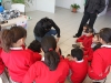 IMG_4912 copy